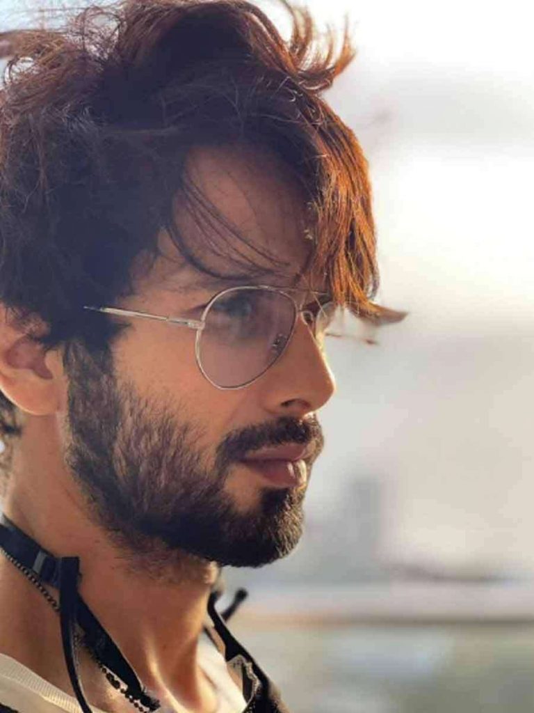Shahid Kapoor Hairstyles from Different Movies