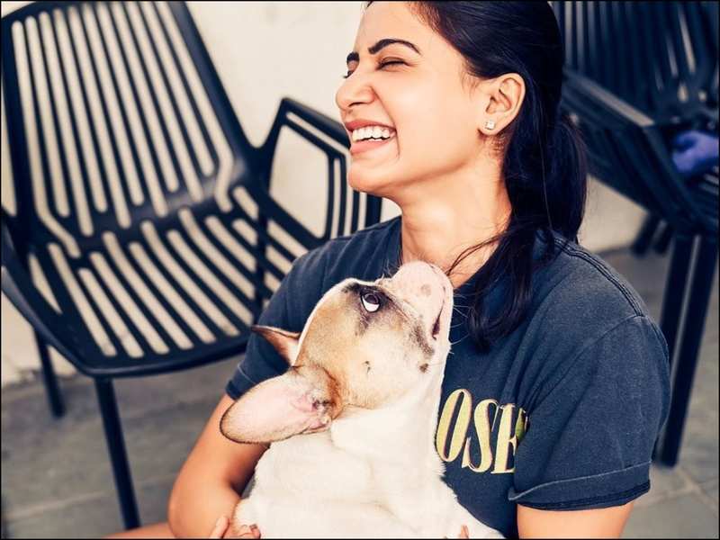 21 Samantha Ruth Prabhu Facts - She loves dogs