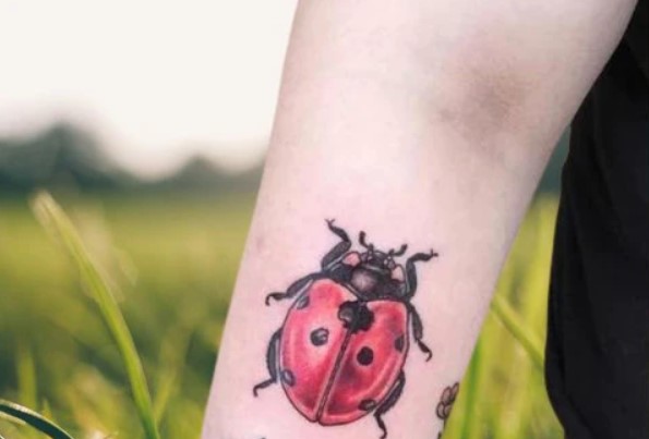 Lady Bug Lucky Tattoo for Men